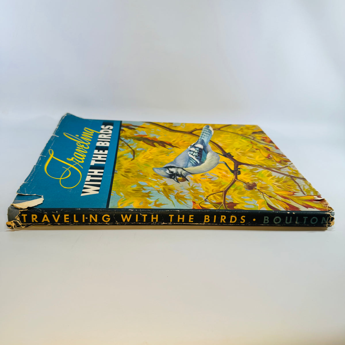 Vintage Bird Migration Illustrated Book — Traveling with the Birds (1933) — Rudyerd Boulton | Walter Alois Weber Art, Ornithology / Natural History