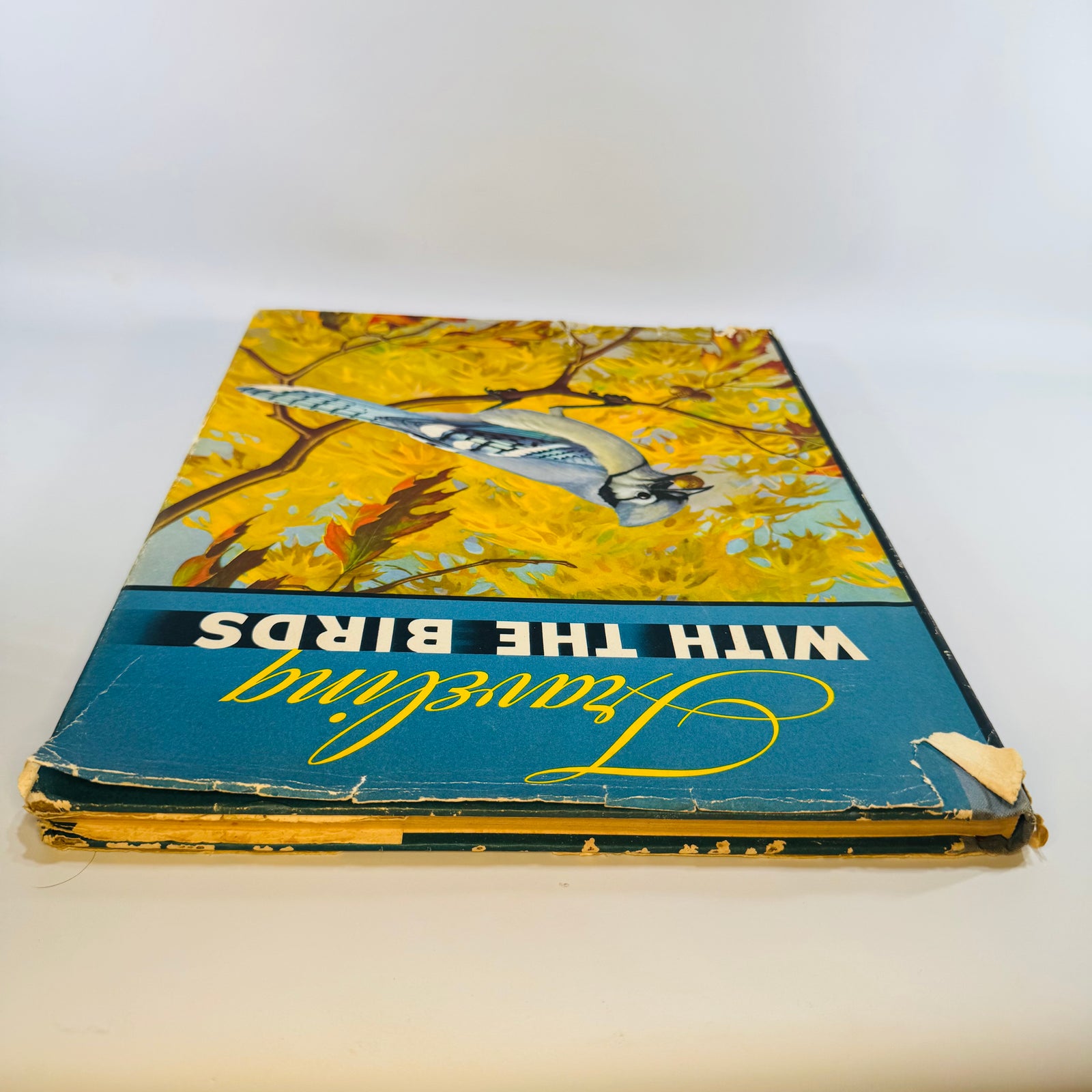 Vintage Bird Migration Illustrated Book — Traveling with the Birds (1933) — Rudyerd Boulton | Walter Alois Weber Art, Ornithology / Natural History