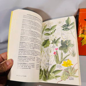 Field Guide Bundle — Wildflowers of North America (1984) & Trees (Golden Guide) — Venning; Zim & Martin | Illustrated, Pocket Guides, Field Identification Natural History