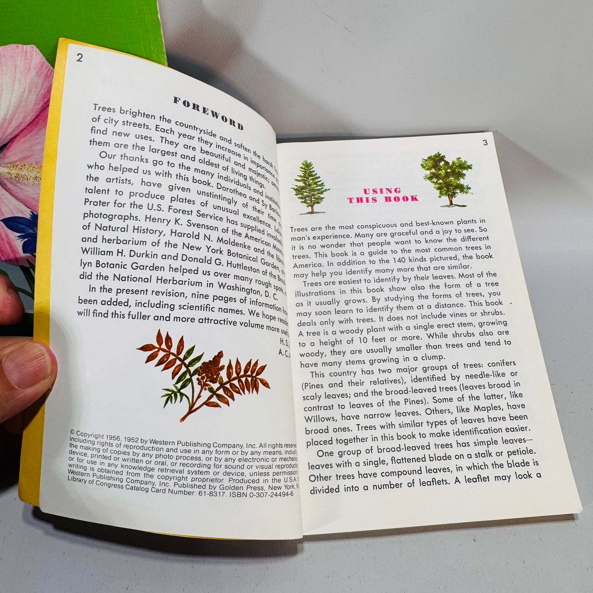 Field Guide Bundle — Wildflowers of North America (1984) & Trees (Golden Guide) — Venning; Zim & Martin | Illustrated, Pocket Guides, Field Identification Natural History