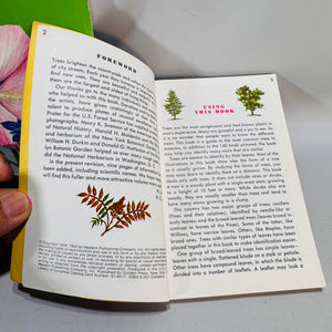 Field Guide Bundle — Wildflowers of North America (1984) & Trees (Golden Guide) — Venning; Zim & Martin | Illustrated, Pocket Guides, Field Identification Natural History