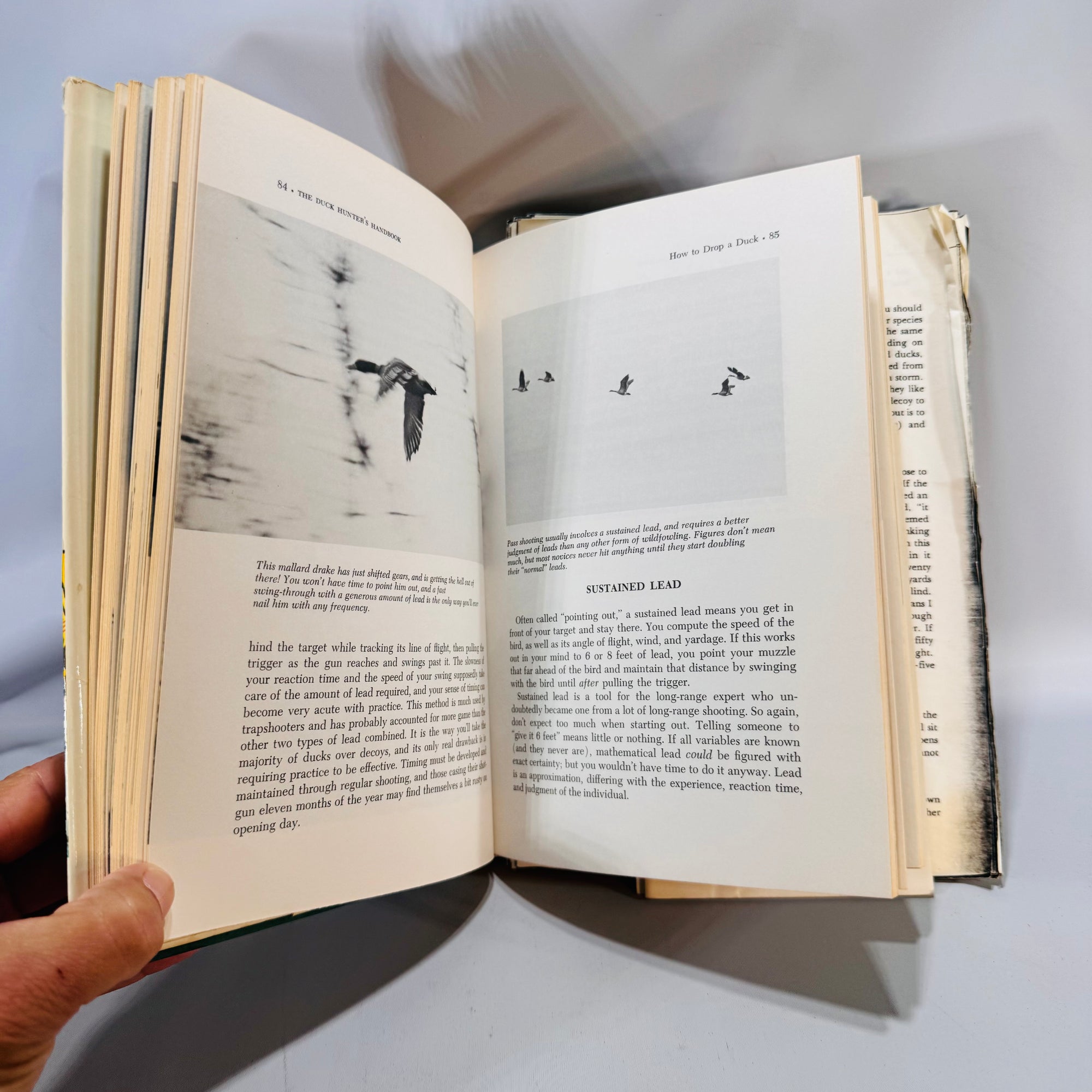 The Duck Hunter’s Handbook (1977, Third Printing) — Bob Hinman | Winchester Press, B/W Photos, Waterfowl Hunting Outdoor Sports