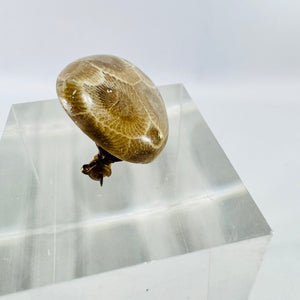 Petoskey Stone Brooch Michigan Fossil Coral Vintage Pin