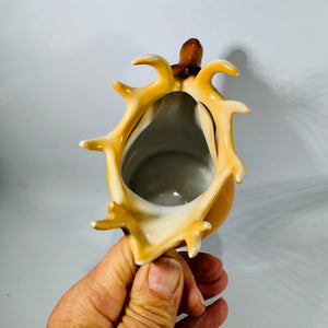 Antique Royal Bayreuth Elk Creamer Porcelain Figural Pitcher Bavaria Deer Stag Creamer Pre 1902 Mark