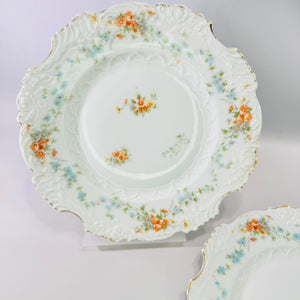 Hermann Ohme Eglantine Plates Set of 2 Peach Blue Floral