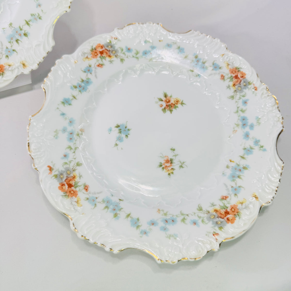 Hermann Ohme Eglantine Plates Set of 2 Peach Blue Floral
