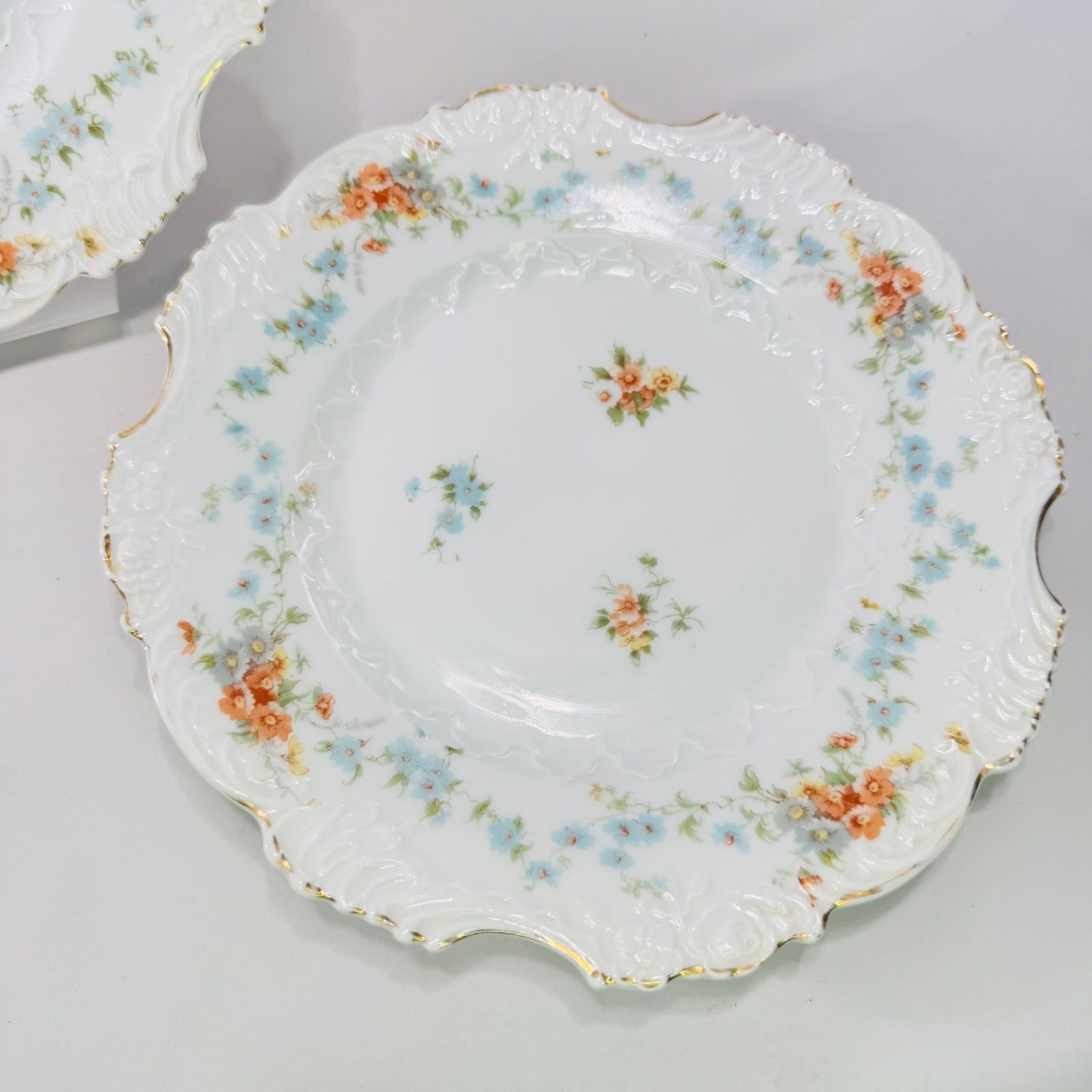 Hermann Ohme Eglantine Plates Set of 2 Peach Blue Floral