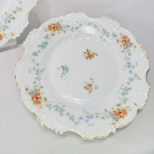 Hermann Ohme Eglantine Plates Set of 2 Peach Blue Floral