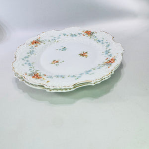 Hermann Ohme Eglantine Plates Set of 2 Peach Blue Floral