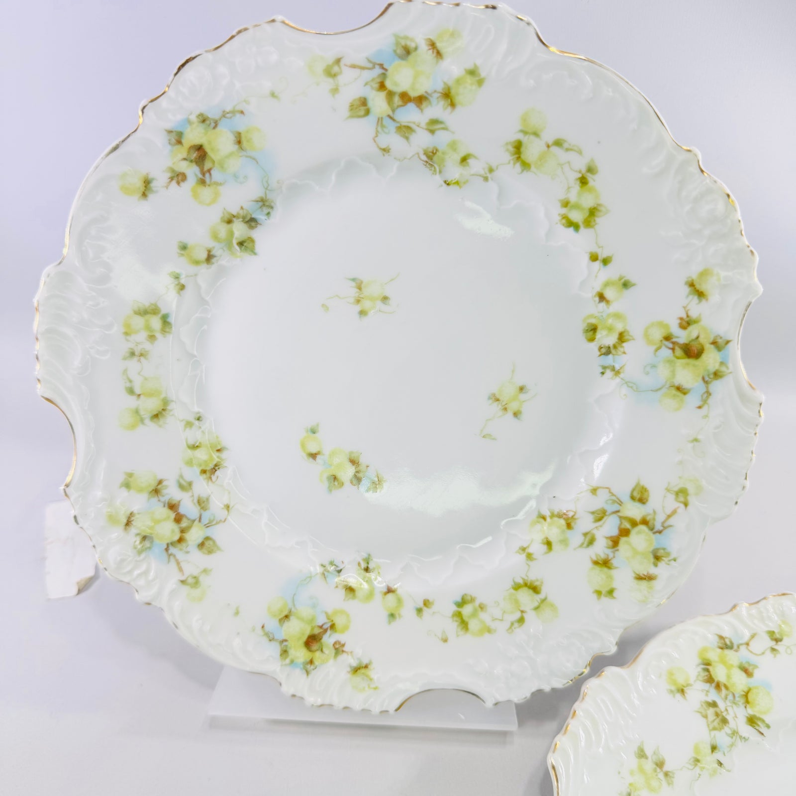 Hermann Ohme Eglantine Plates Set of 2 Green Blue Floral