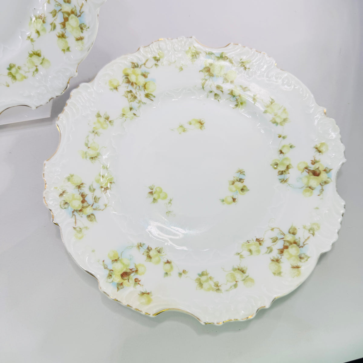 Hermann Ohme Eglantine Plates Set of 2 Green Blue Floral