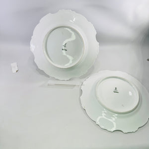 Hermann Ohme Eglantine Plates Set of 2 Green Blue Floral