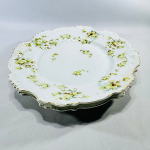 Hermann Ohme Eglantine Plates Set of 2 Green Blue Floral