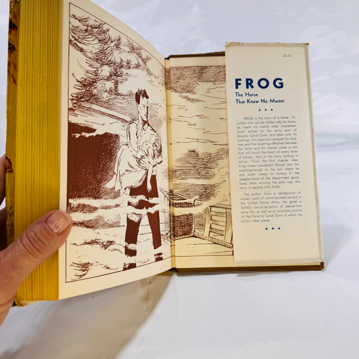 Rear endpaper and jacket flap for Frog, The Horse That Knew No Master