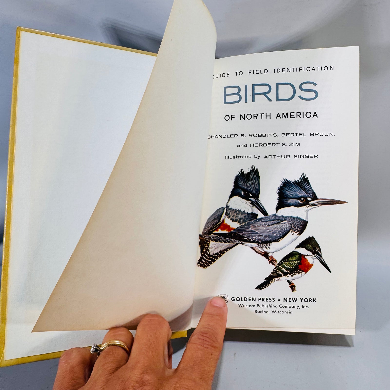 Birding Field Guide — Birds of North America (1966 copyright) — Robbins, Bruun & Zim | Golden Press, Illustrated by Arthur Singer Natural History
