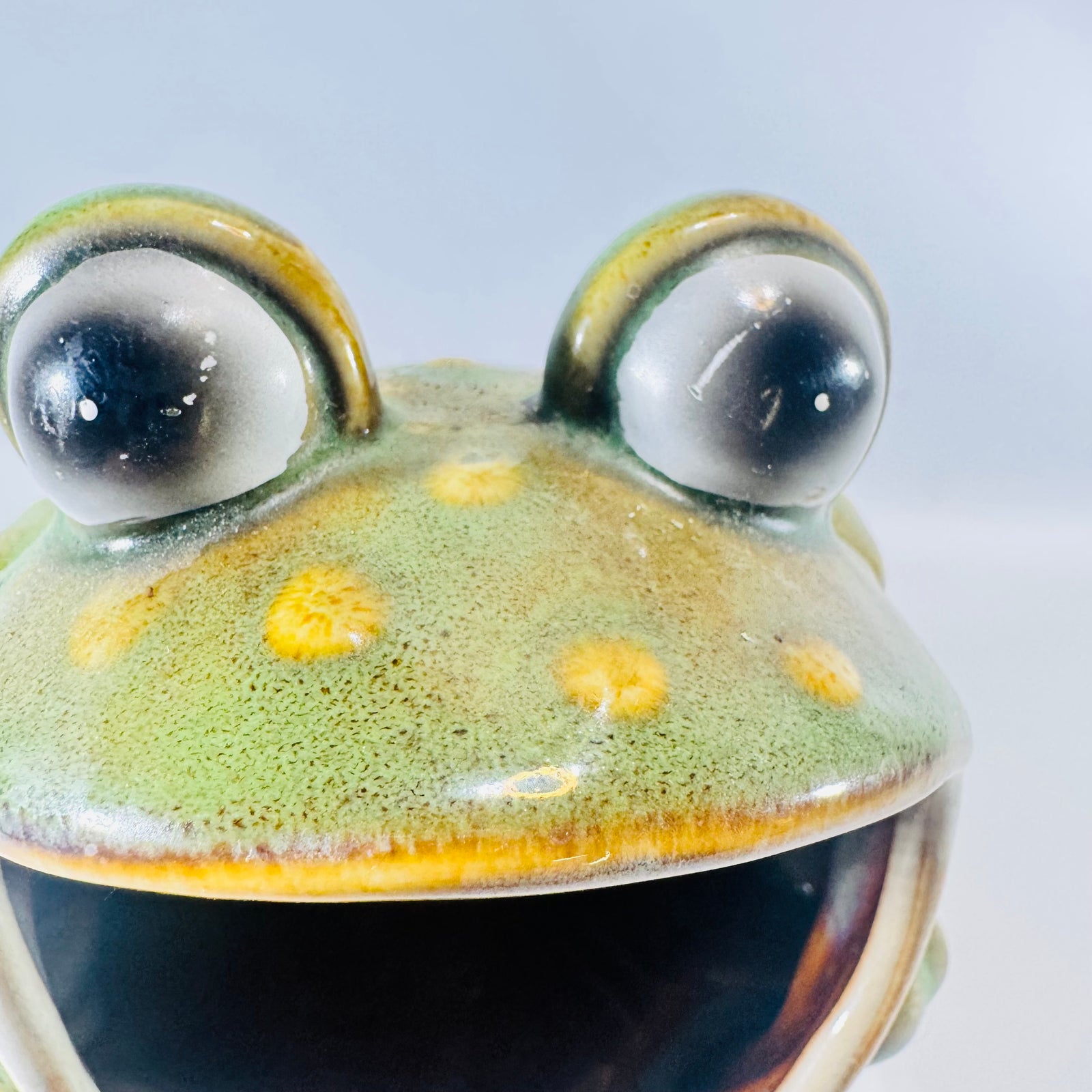 Green Ceramic Frog Sponge Holder Retro Kitchen Scrubby Holder