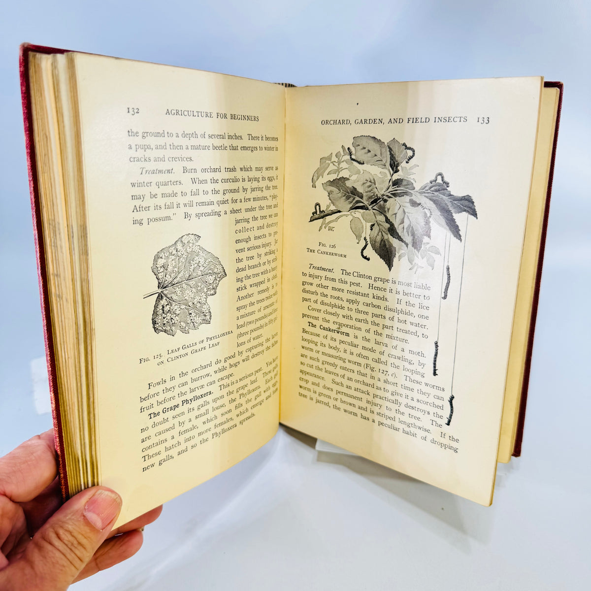 Agriculture for Beginners by Burkett Stevens and Hill Ginn Hardcover with Saginaw Michigan Inscription