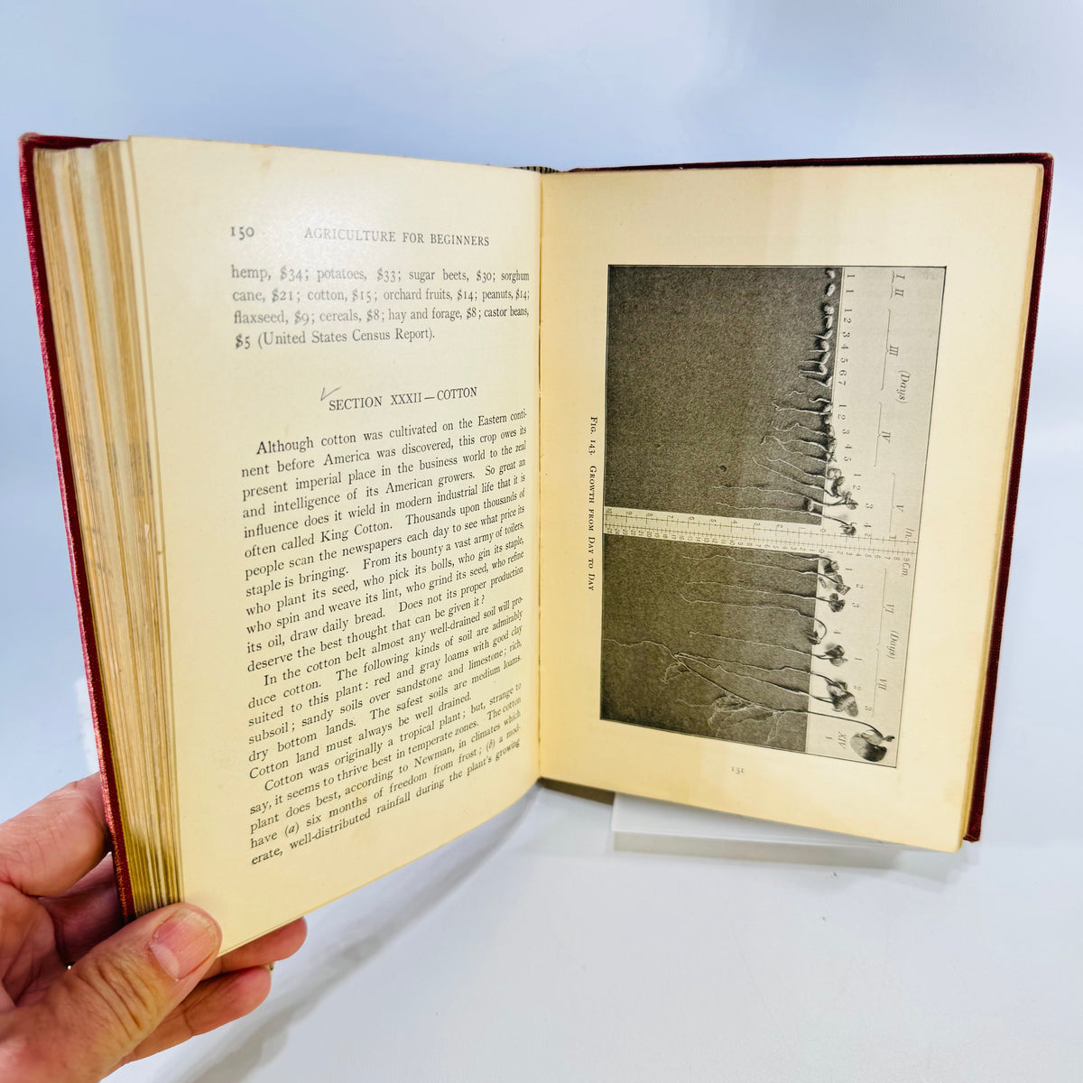 Agriculture for Beginners by Burkett Stevens and Hill Ginn Hardcover with Saginaw Michigan Inscription