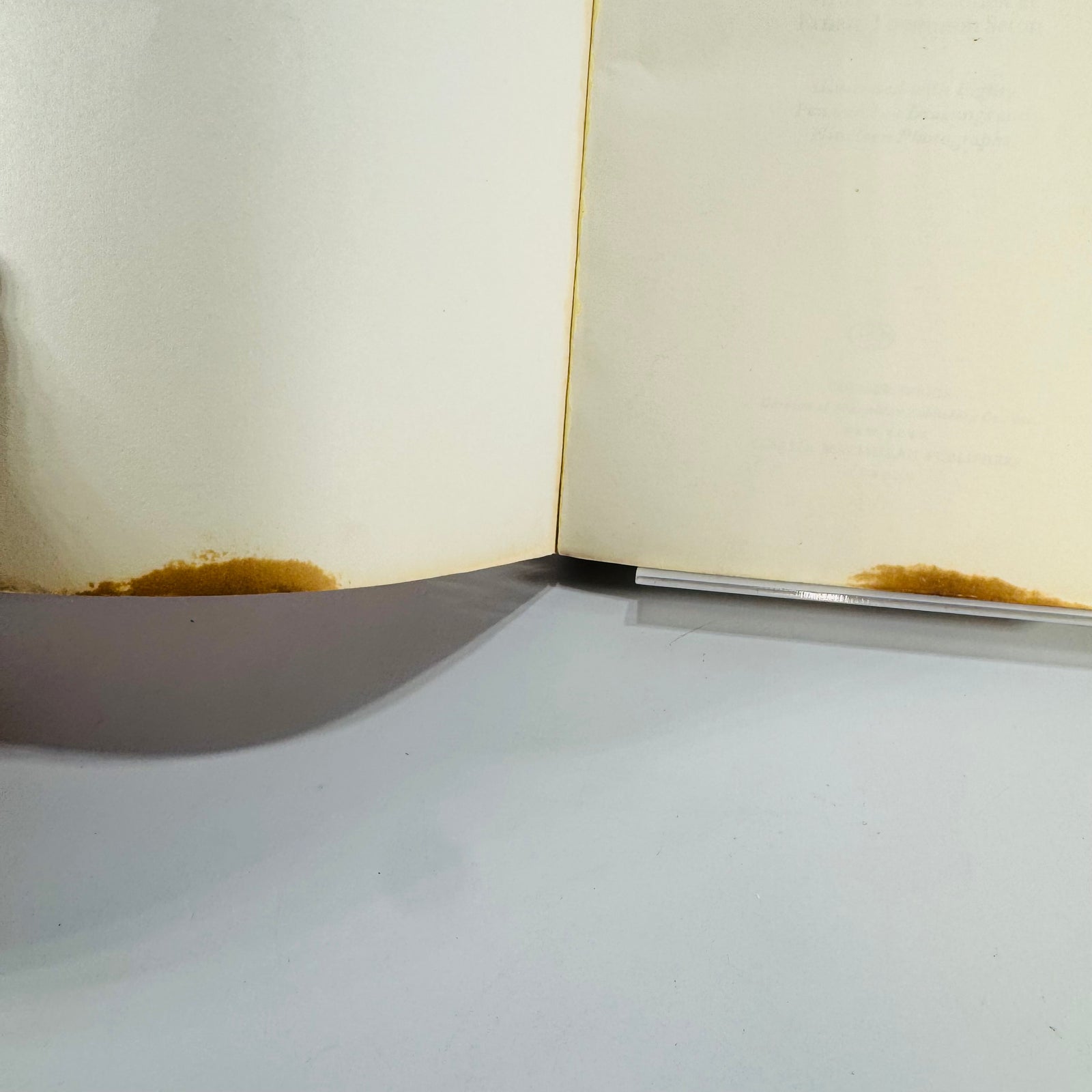 Vintage Foraging Guide — Edible Wild Plants (1972) — Oliver Perry Medsger | Illustrated Plant Identification, Nature Reference