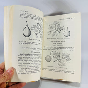 Vintage Foraging Guide — Edible Wild Plants (1972) — Oliver Perry Medsger | Illustrated Plant Identification, Nature Reference