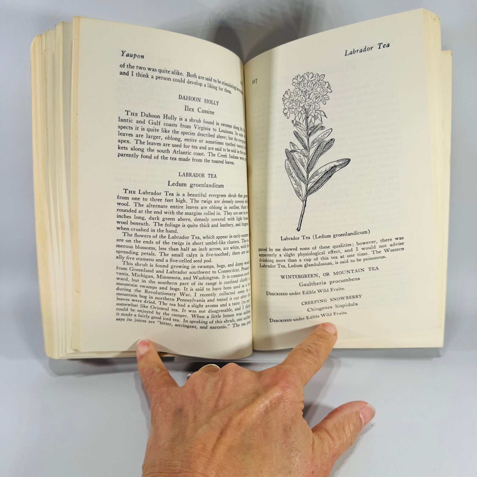 Vintage Foraging Guide — Edible Wild Plants (1972) — Oliver Perry Medsger | Illustrated Plant Identification, Nature Reference
