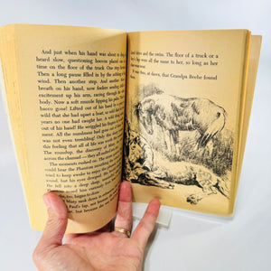 Misty of Chincoteague by Marguerite Henry Scholastic First Printing Paperback