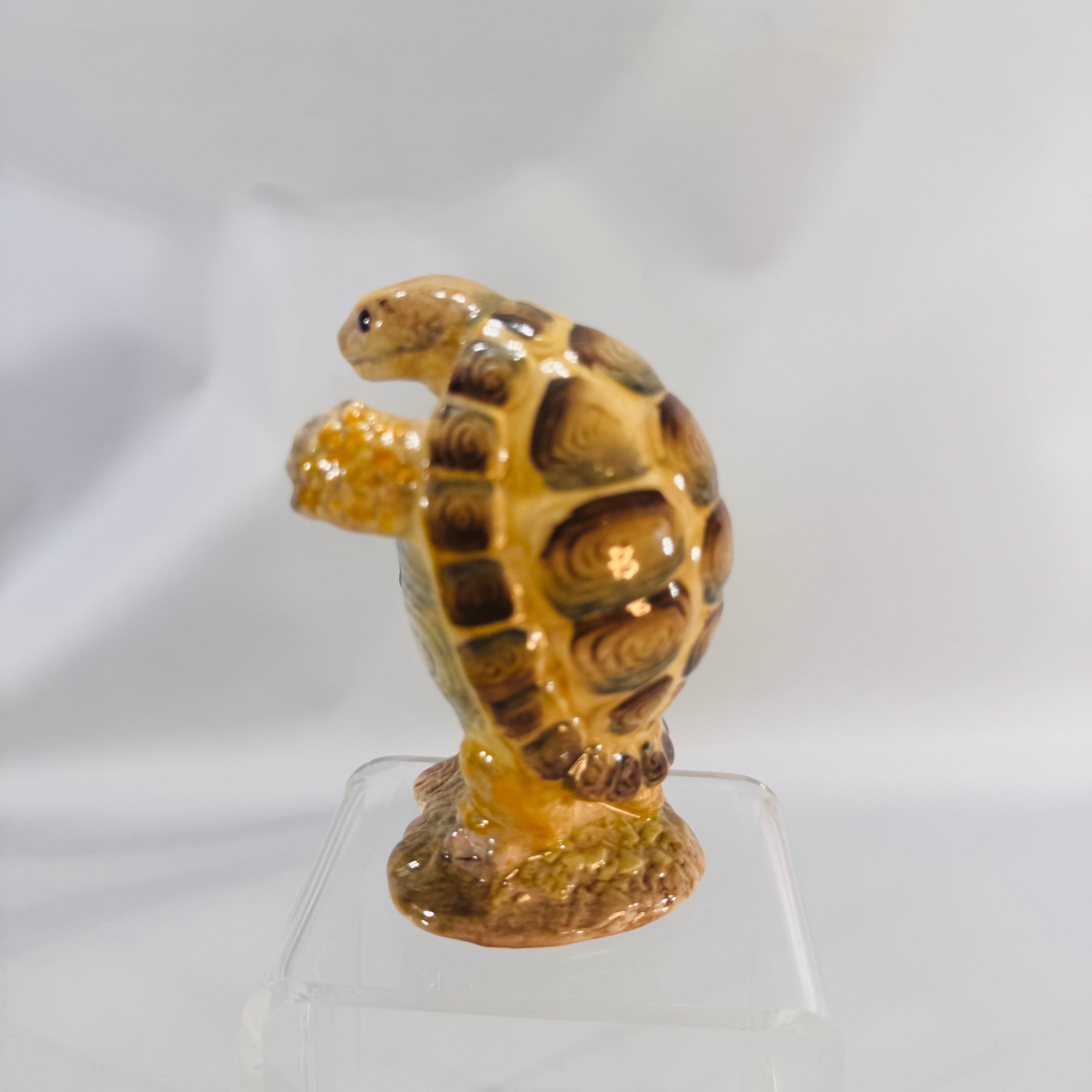 Beswick Beatrix Potter Mr. Alderman Ptolemy Tortoise, 3.5-inch glazed earthenware figure holding a netted bag, brown and green tones—front view.