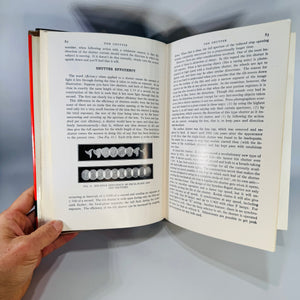 Vintage Photography Reference  The Amateur Photographer’s Handbook (1966)  Aaron Sussman | Revised & Enlarged, Photography Reference
