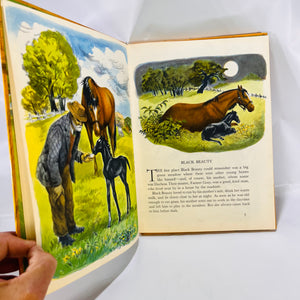 Black Beauty by Anna Sewell Adapted by Eleanor Graham Vance Illustrated by Phoebe Erickson 1949 Random House