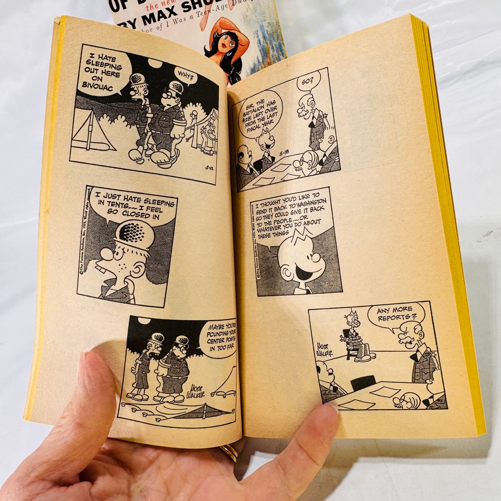 Shape Up or Ship Out by Mort Walker (1985) & The Many Loves of Dobie Gillis by Max Shulman (1951), Paperback Bundle