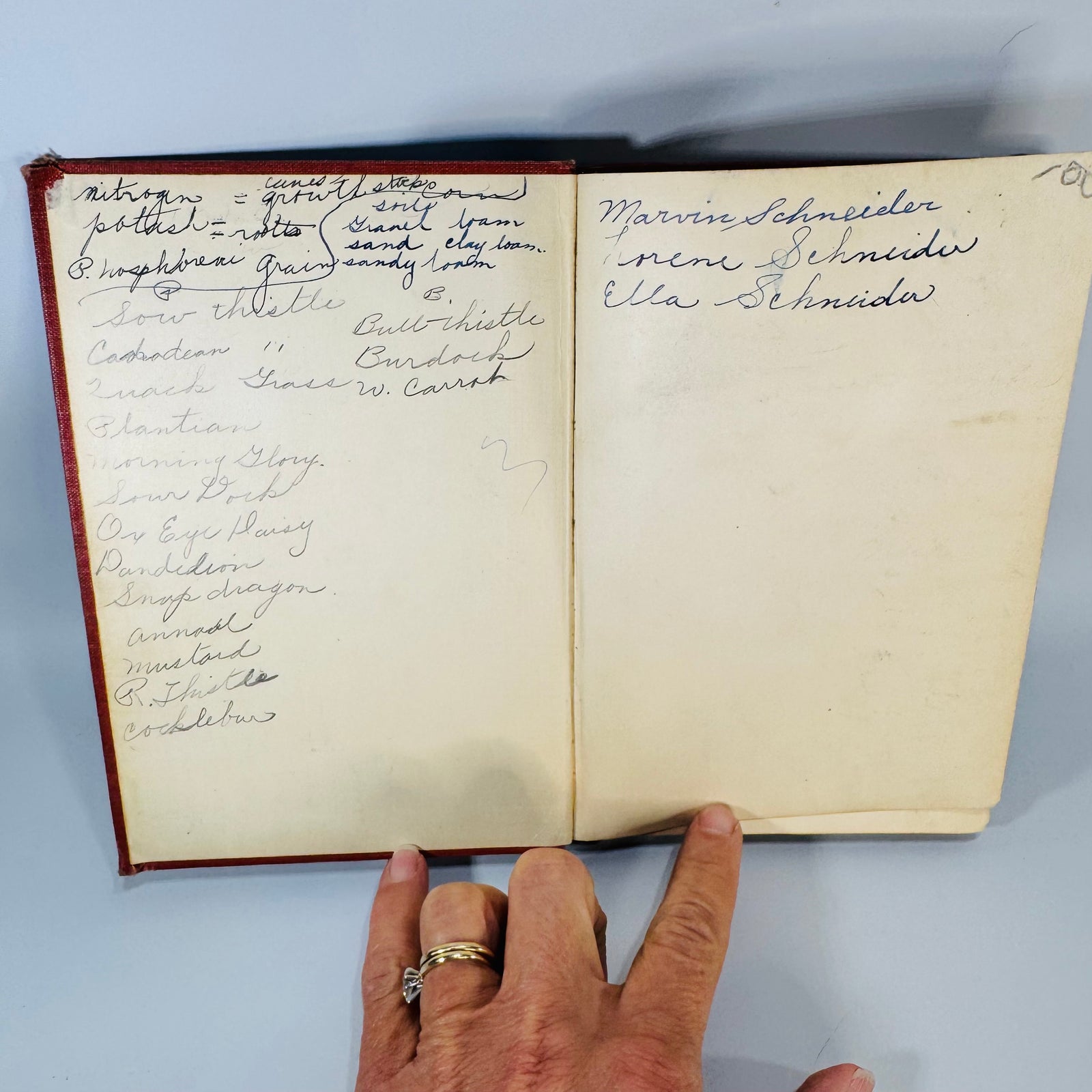 Antique Farming Textbook — First Principles of Agriculture (Copyright 1904, 1918) — Goff and Mayne | Illustrated, Agricultural Education