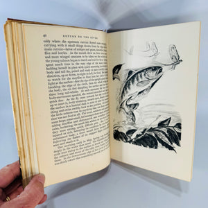 Vintage Fishing & Natural History — Return to the River (1942) — Roderick L. Haig-Brown | Illustrated Chinook Salmon Story
