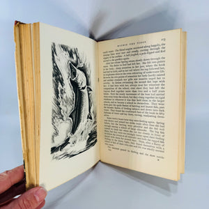 Vintage Fishing & Natural History — Return to the River (1942) — Roderick L. Haig-Brown | Illustrated Chinook Salmon Story