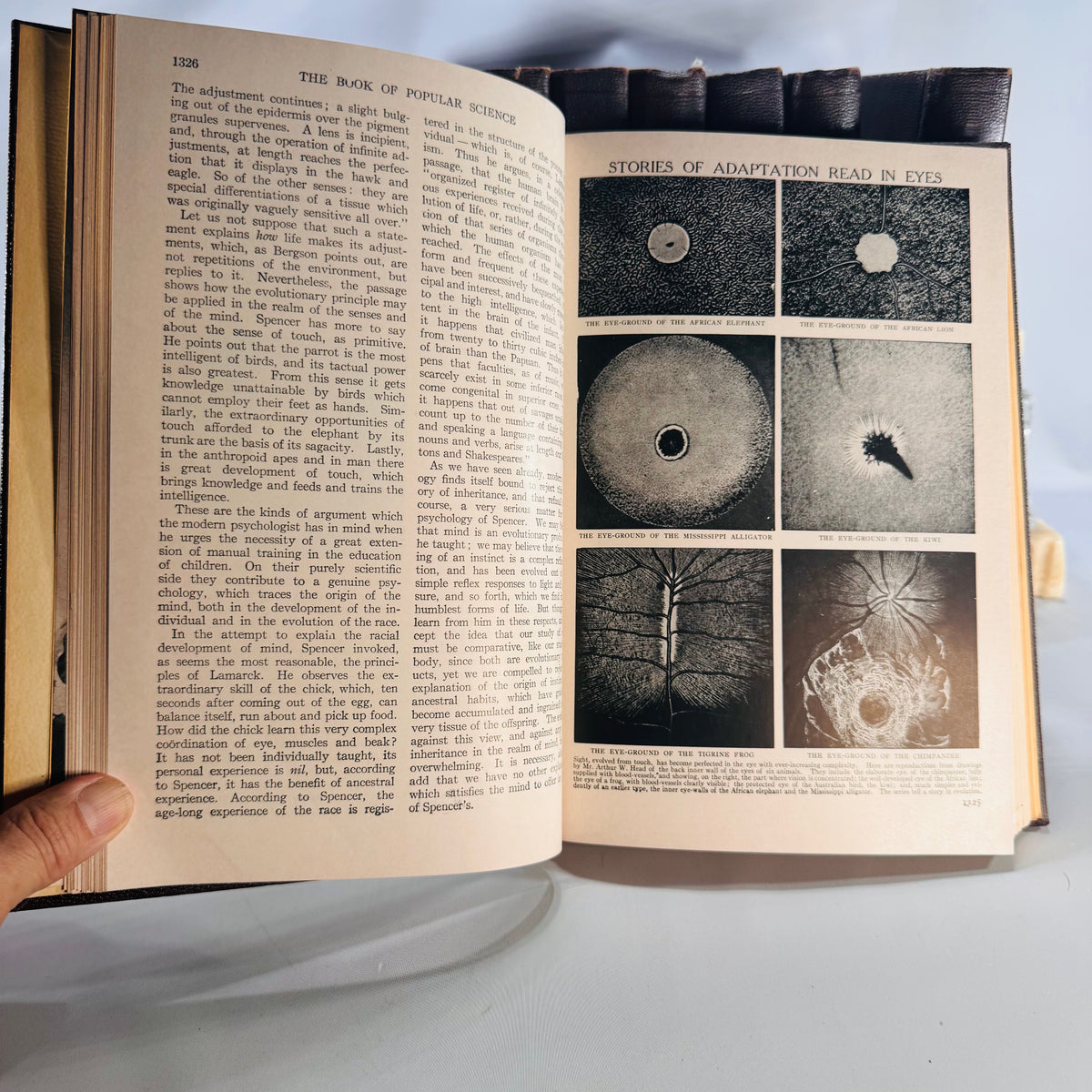 The Book of Popular Science (1955 edition) — The Grolier Society | Complete 10-Volume Set, Science Reference