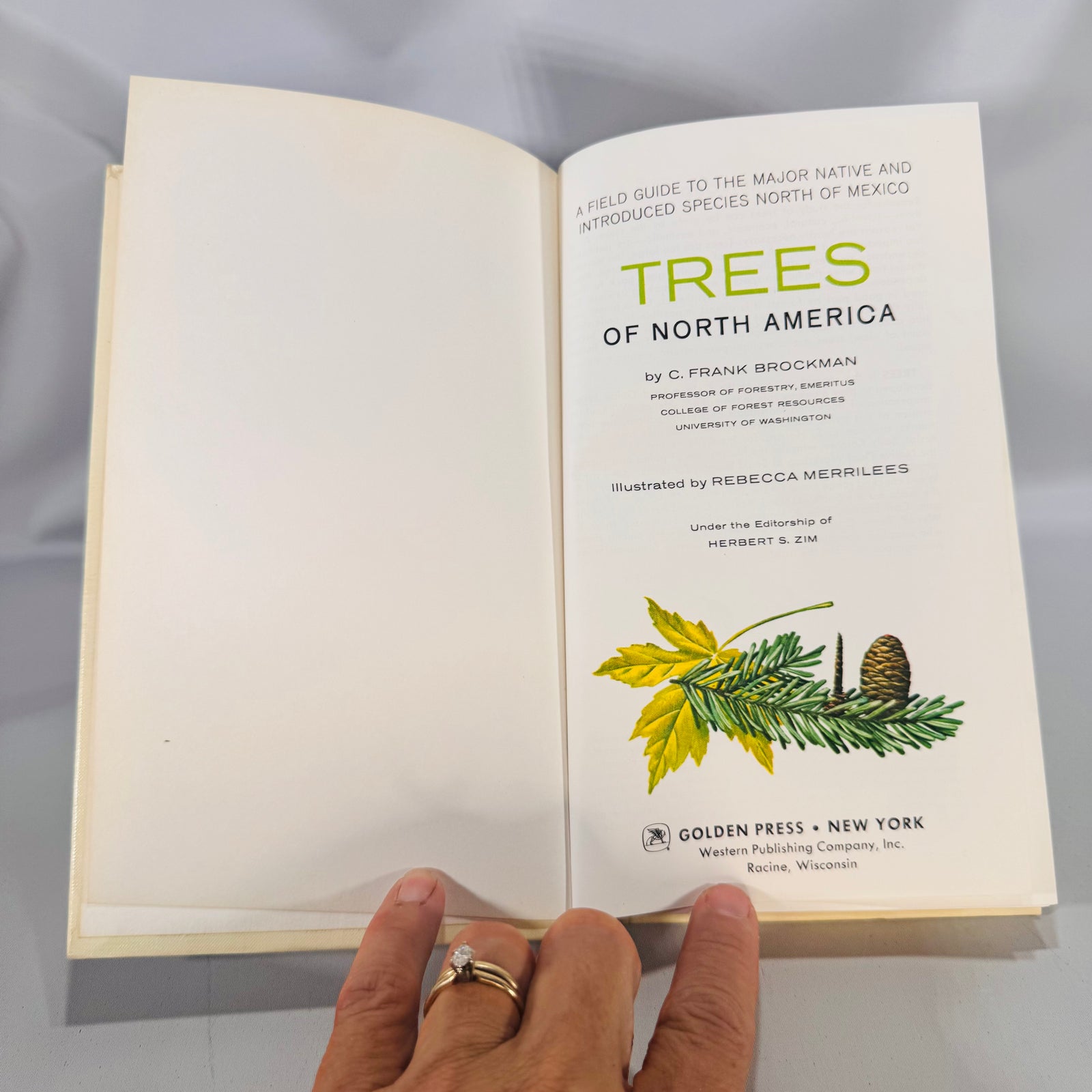 Trees of North America (Golden Field Guide, 1968) — C. Frank Brockman; Illus. Rebecca Merrilees | Hardcover, Color Plates, Botany Field Guide