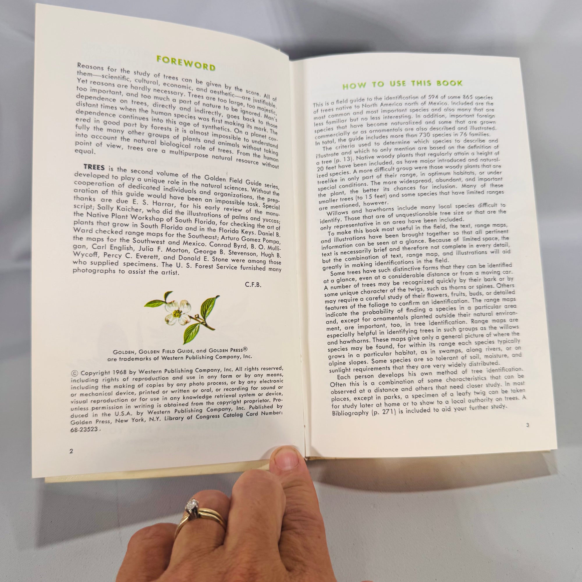 Trees of North America (Golden Field Guide, 1968) — C. Frank Brockman; Illus. Rebecca Merrilees | Hardcover, Color Plates, Botany Field Guide