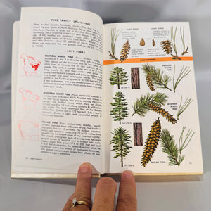 Trees of North America (Golden Field Guide, 1968) — C. Frank Brockman; Illus. Rebecca Merrilees | Hardcover, Color Plates, Botany Field Guide