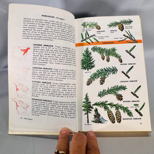 Trees of North America (Golden Field Guide, 1968) — C. Frank Brockman; Illus. Rebecca Merrilees | Hardcover, Color Plates, Botany Field Guide