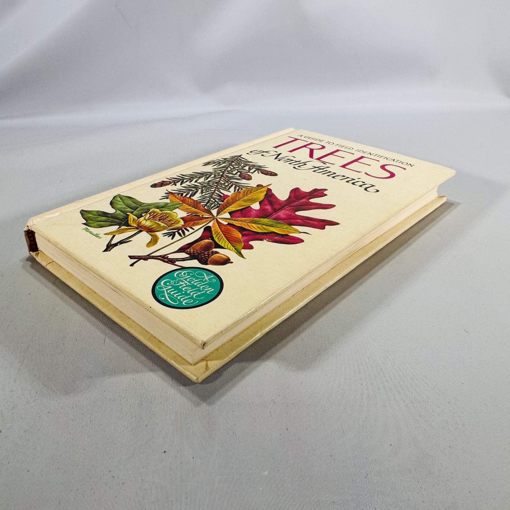 Trees of North America (Golden Field Guide, 1968) — C. Frank Brockman; Illus. Rebecca Merrilees | Hardcover, Color Plates, Botany Field Guide