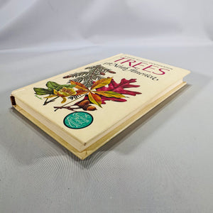 Trees of North America (Golden Field Guide, 1968) — C. Frank Brockman; Illus. Rebecca Merrilees | Hardcover, Color Plates, Botany Field Guide