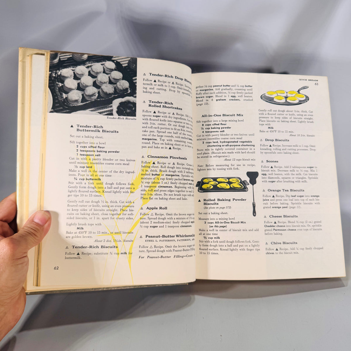The Family Home Cookbook (1973) — Culinary Arts Institute | Vintage Cookbook Dust Jacket, Illustrated, Culinary Arts