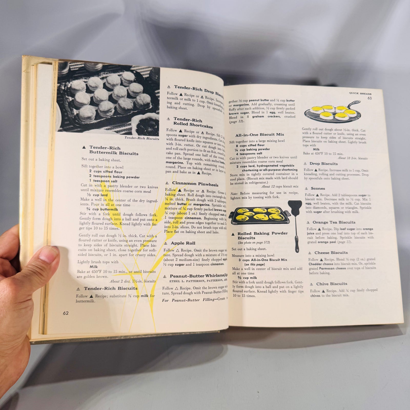 The Family Home Cookbook (1973) — Culinary Arts Institute | Vintage Cookbook Dust Jacket, Illustrated, Culinary Arts