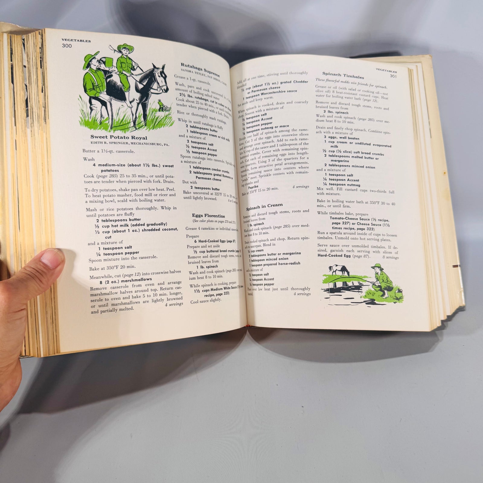 The Family Home Cookbook (1973) — Culinary Arts Institute | Vintage Cookbook Dust Jacket, Illustrated, Culinary Arts