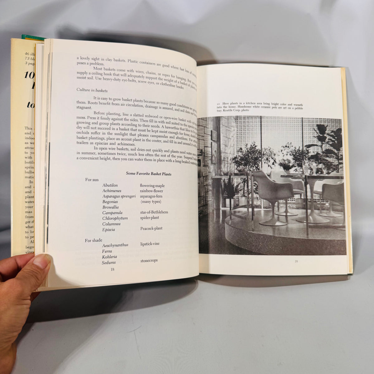 1000 Beautiful House Plants and How to Grow Them (1966) — Jack Kramer | Dust Jacket, Photo-Rich Guide, Gardening & Houseplants