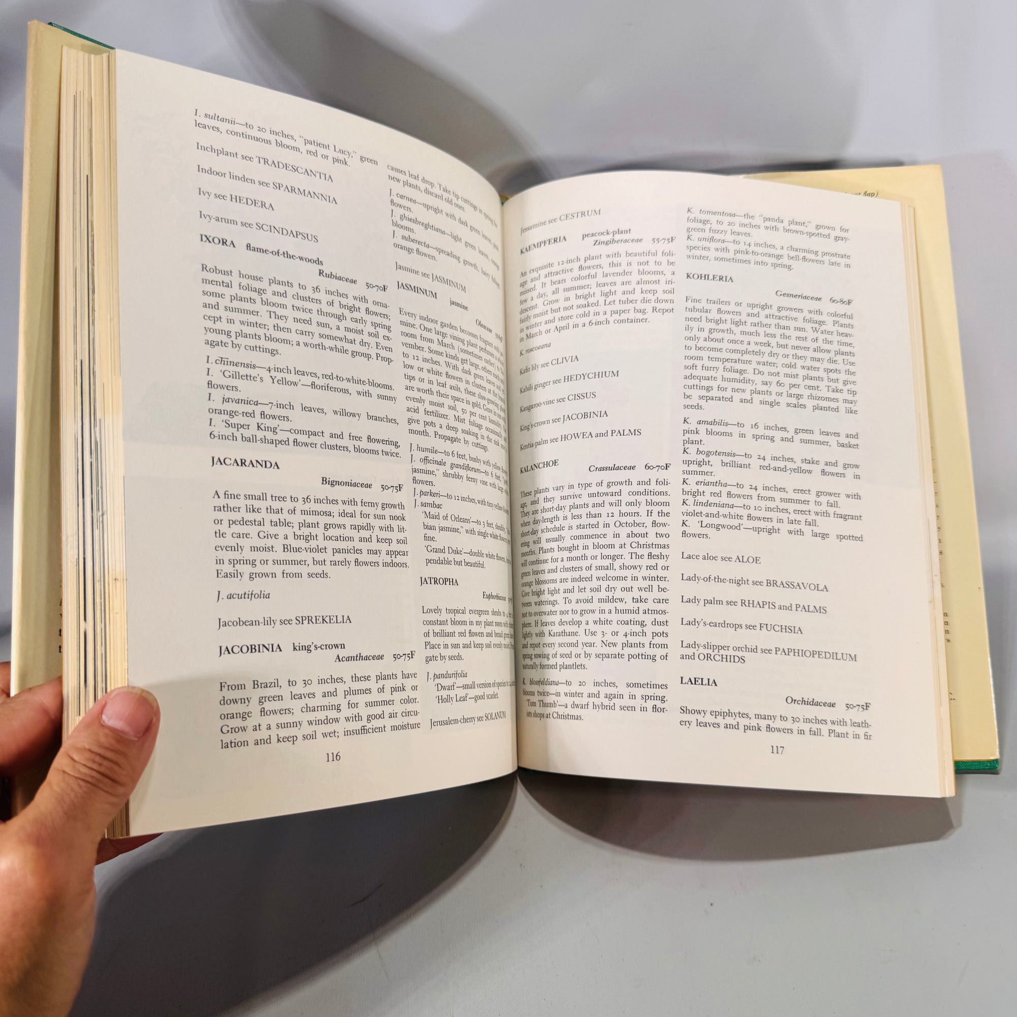 1000 Beautiful House Plants and How to Grow Them (1966) — Jack Kramer | Dust Jacket, Photo-Rich Guide, Gardening & Houseplants