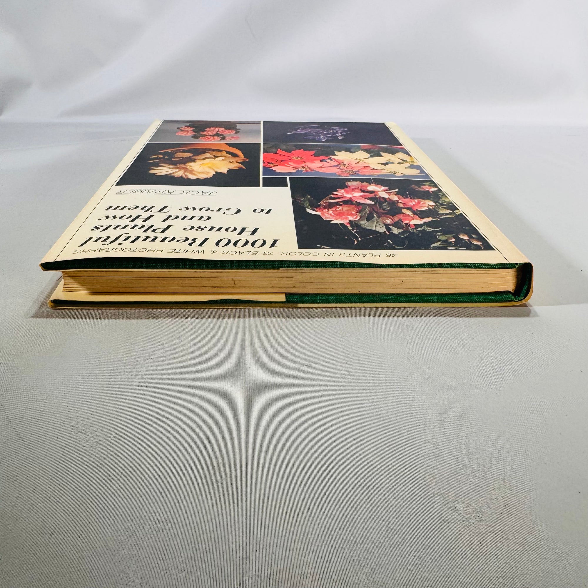 1000 Beautiful House Plants and How to Grow Them (1966) — Jack Kramer | Dust Jacket, Photo-Rich Guide, Gardening & Houseplants