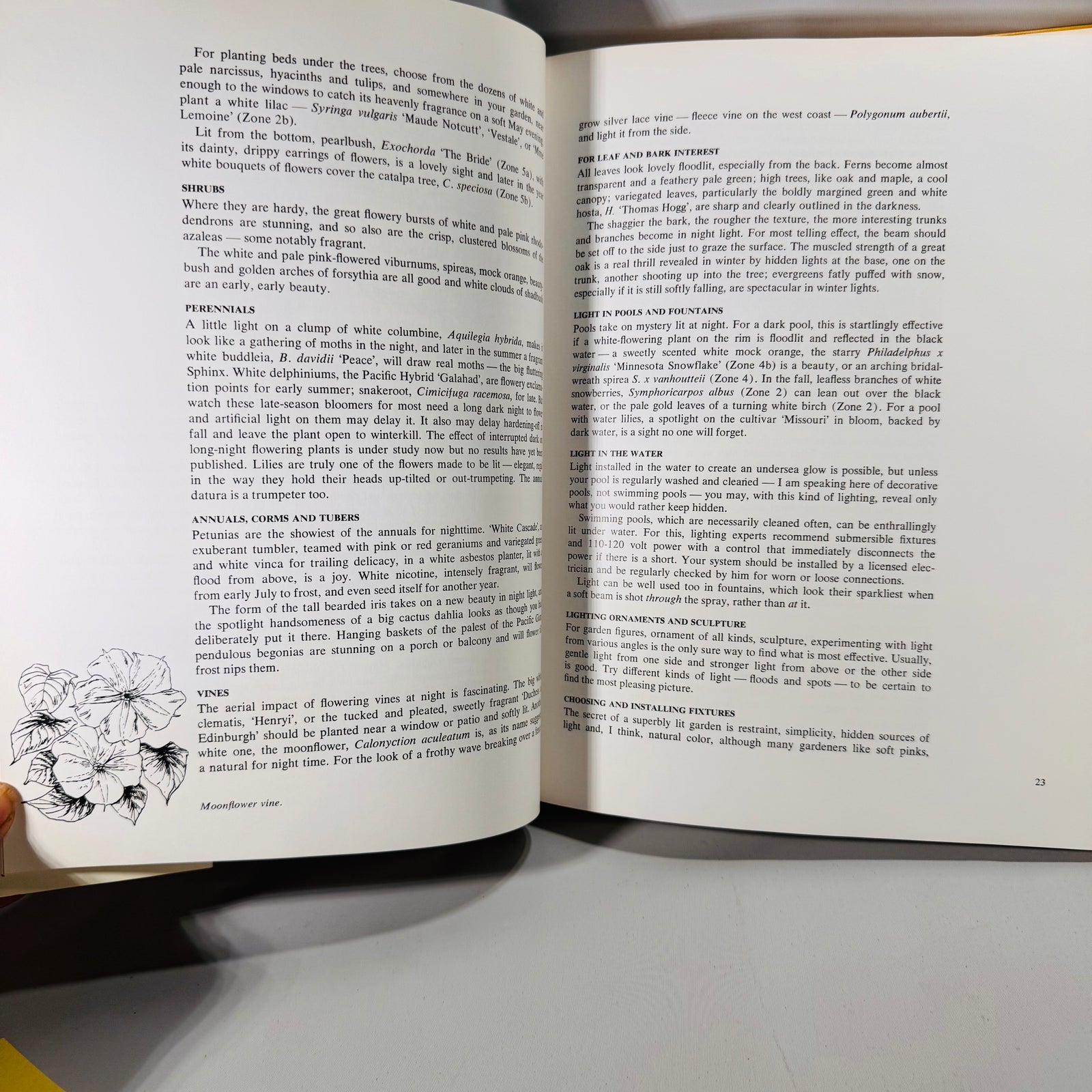Vintage Gardening Book Bundle (1972 & 1978) — Lois Wilson & Jacqueline Seymour | Illustrated Hardcovers, Horticulture / Gardening