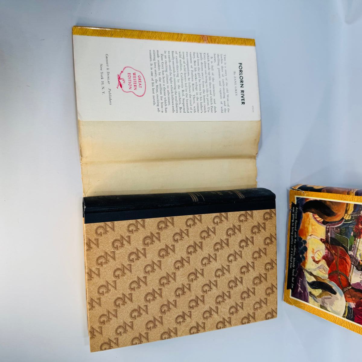 Vintage Zane Grey Western Books Set Forlorn River and The Hash Knife Outfit