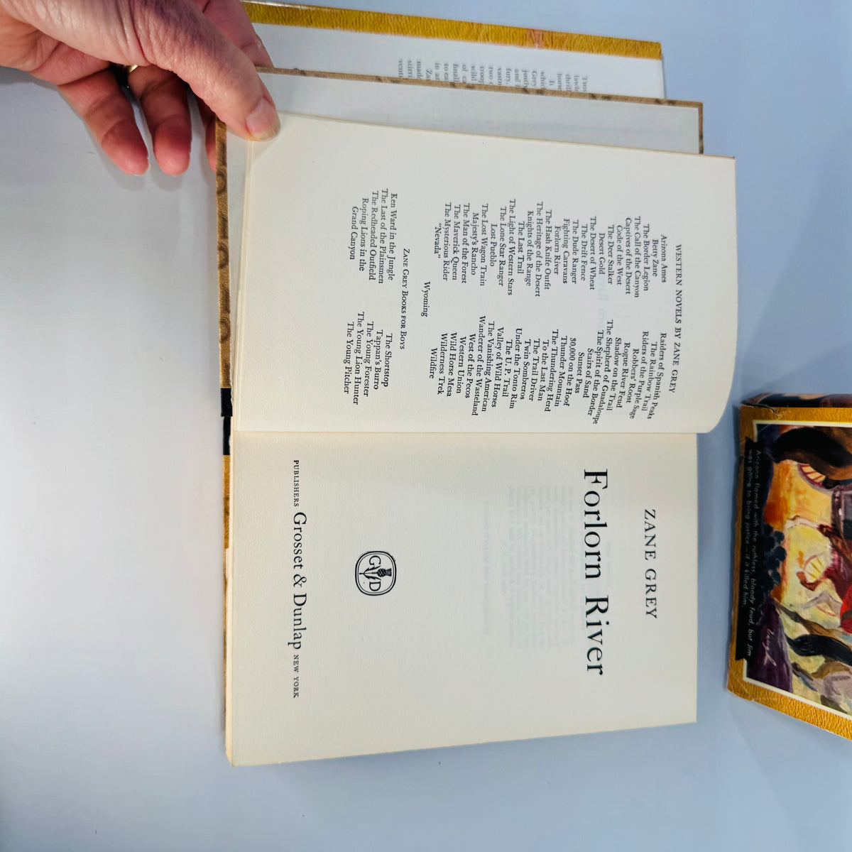 Vintage Zane Grey Western Books Set Forlorn River and The Hash Knife Outfit