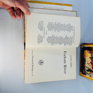 Vintage Zane Grey Western Books Set Forlorn River and The Hash Knife Outfit
